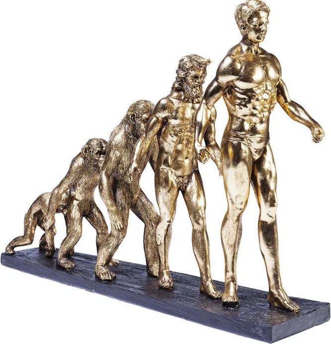 Sculptuur Evolutie