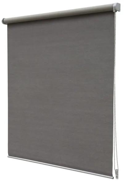 Intensions Rolgordijn 150x190x6cm verduisterend Polyester met kunststof raamwerk Taupe 1185567