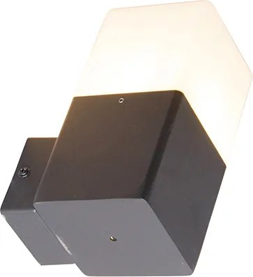 Buitenwandlamp zwart met opaal witte kap IP44 - Denmark