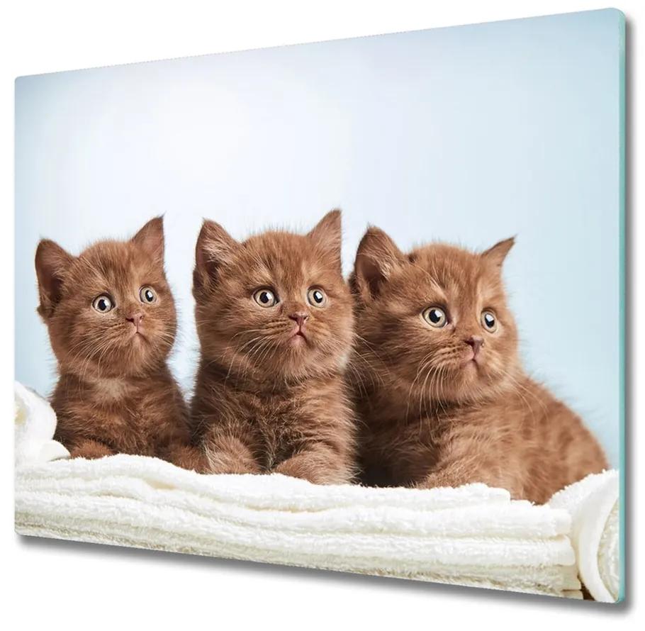 snijplank van glas Kitties op een handdoek 60x52cm