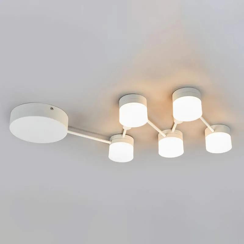 LED plafondlamp Haakon, 5-lamps