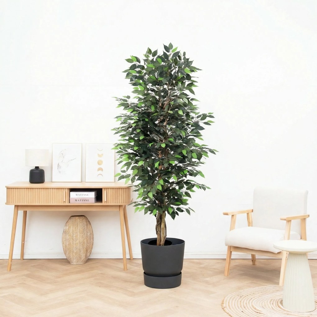 Kunst Ficus Benjamina - 180cm