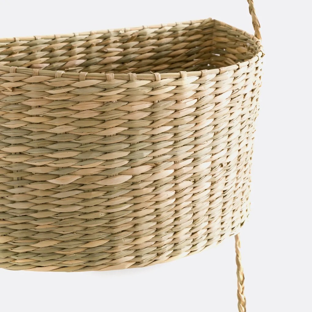 Hangende mandjes in herbarium, Cesta