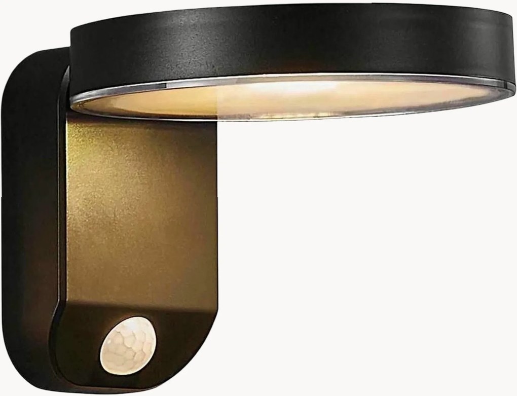 Solar LED-wandlamp Rica met bewegingssensor