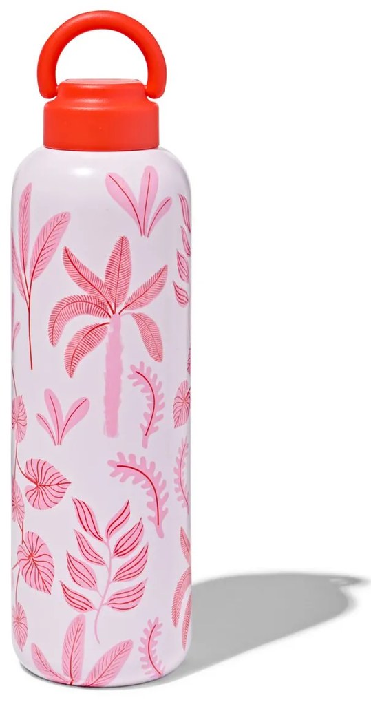 HEMA Isoleerfles Dubbelwandig Rvs Tropisch 700ml