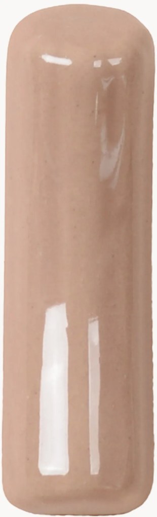 Wandhaak Fossil