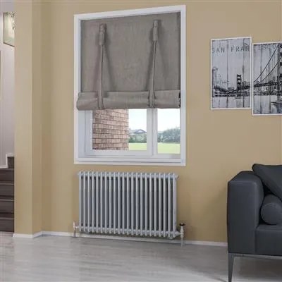 Eastbrook Rivassa 2 koloms radiator 100x60cm staal 1385W chroom