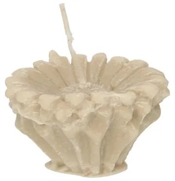 Vormkaars, bloem, taupe
