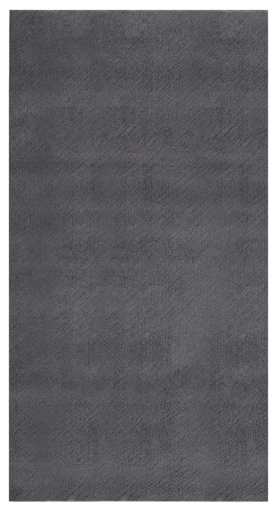 vidaXL Vloerkleed wasbaar zacht shaggy anti-slip 80x150 cm antraciet