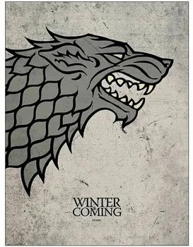 Posters Grijs Game Of Thrones  Taille unique
