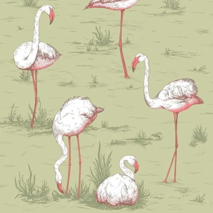 Cole & Son Flamingos behang Olive