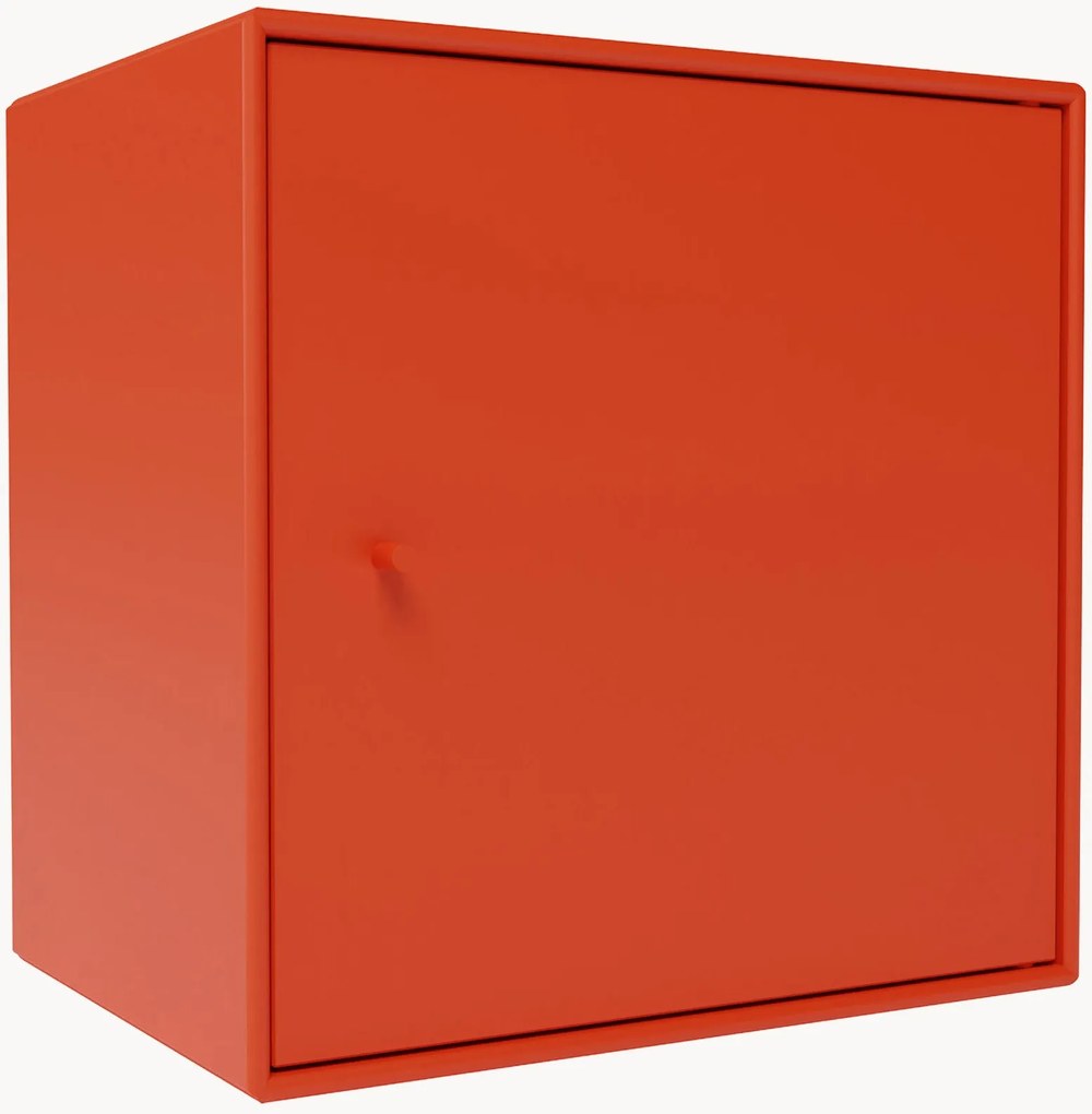 Module Mini 1003