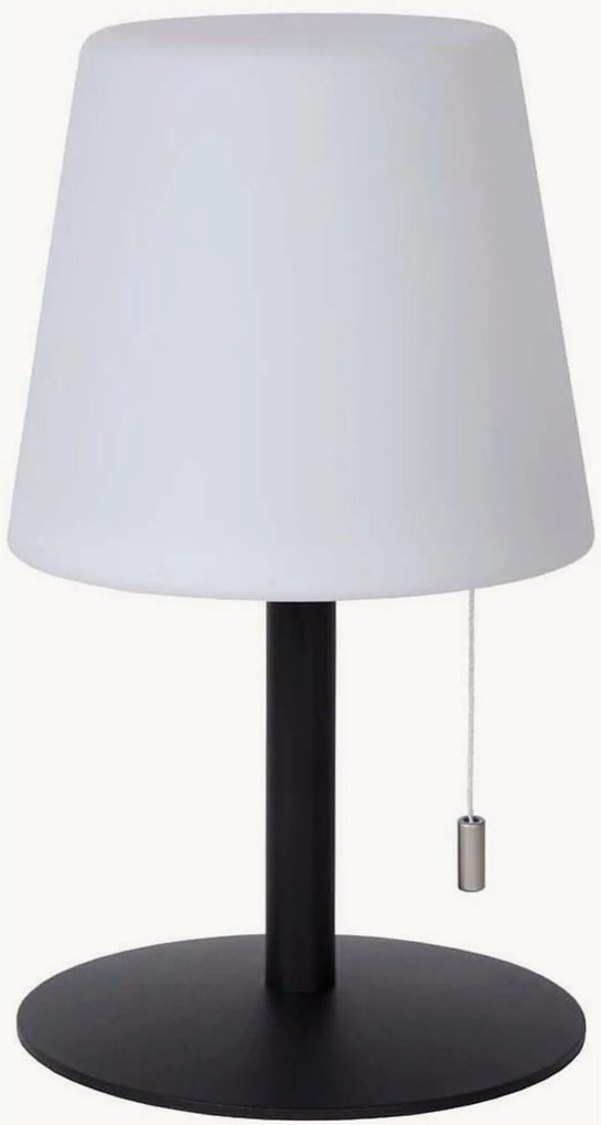Dimbare outdoor LED-decoratielamp Rio met kleurverandering