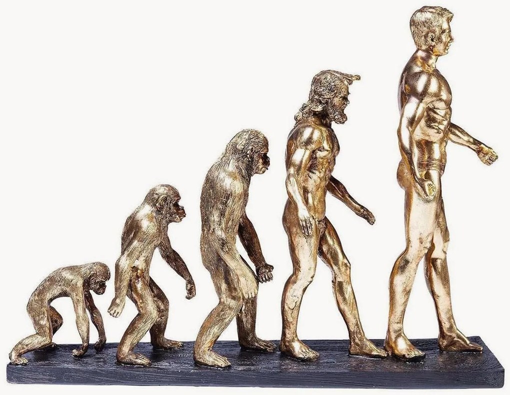 Decoratief object Evolution