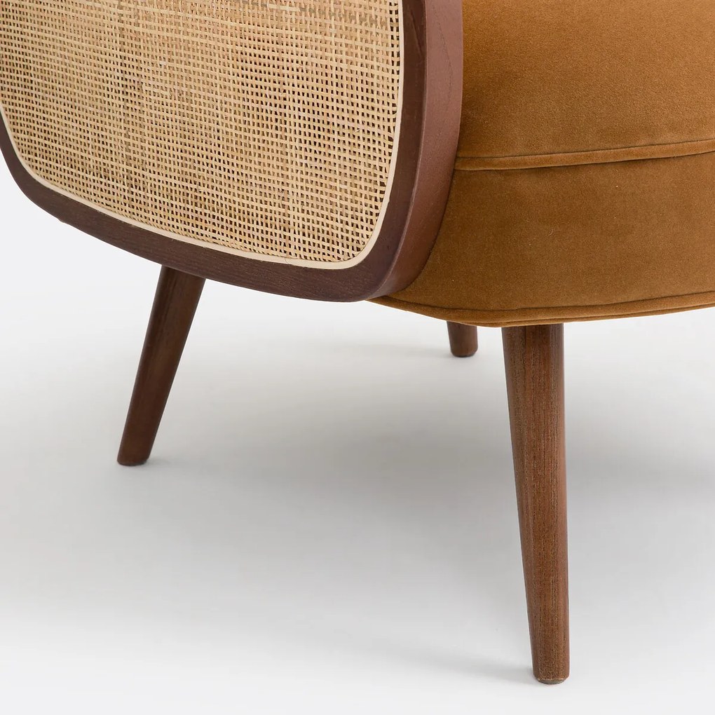 Fauteuil fluweel, Buisseau