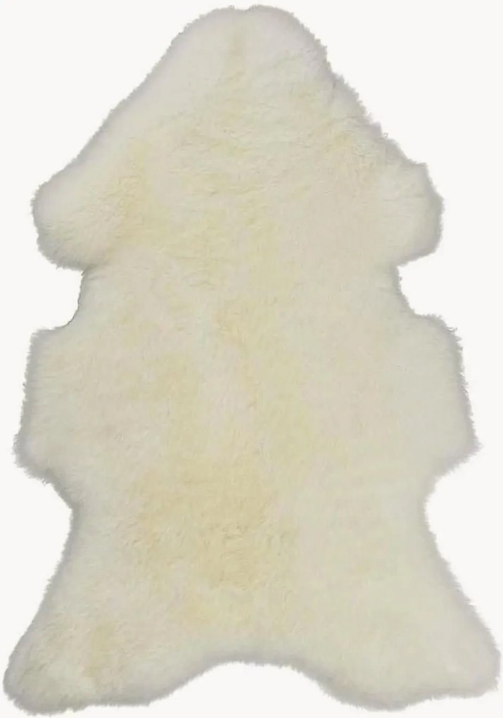 Schapenvacht Texel