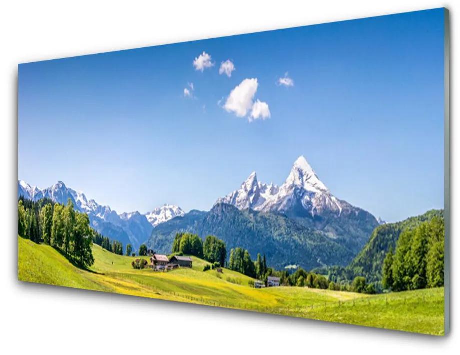 Glas schilderij Fields trees landschap van de berg 100x50 cm