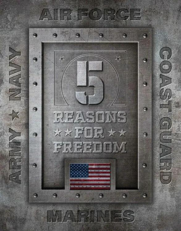 Metalen wandbord 5 Reasons for Freedom, ( x  cm)