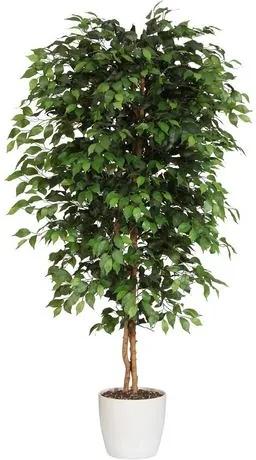 Kunstplant Ficus Benjamini