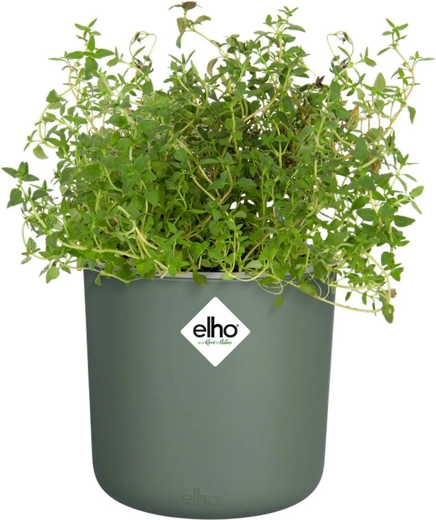 elho kruidenpot Happy Herbs - Blad groen (Groen) - Diameter 15 x H 17 cm