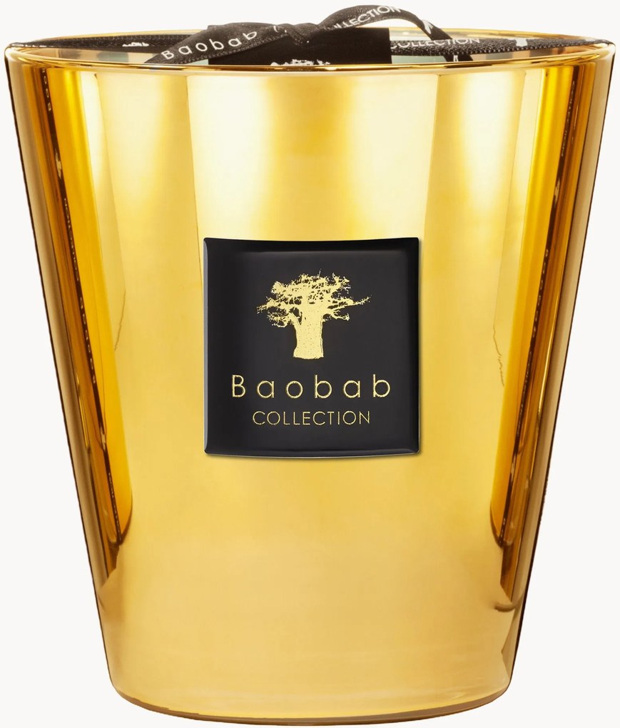 4-lonts geurkaars Exclusives (jasmijn, galbanum, muskus)