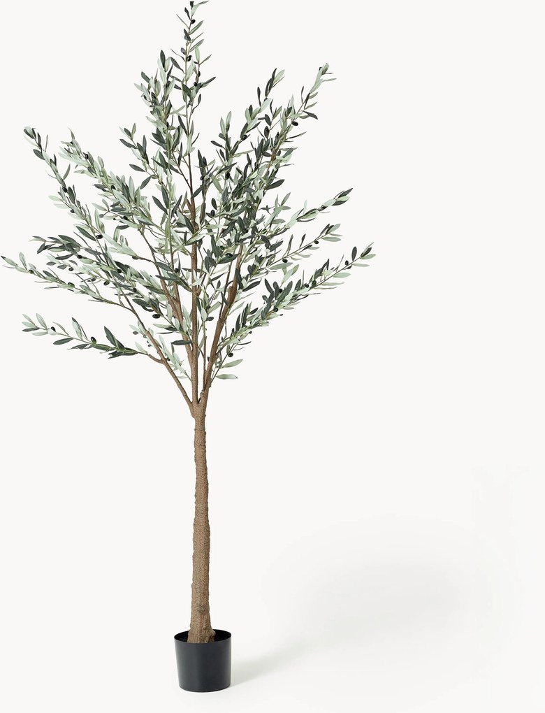 Kunstplant Olive Tree