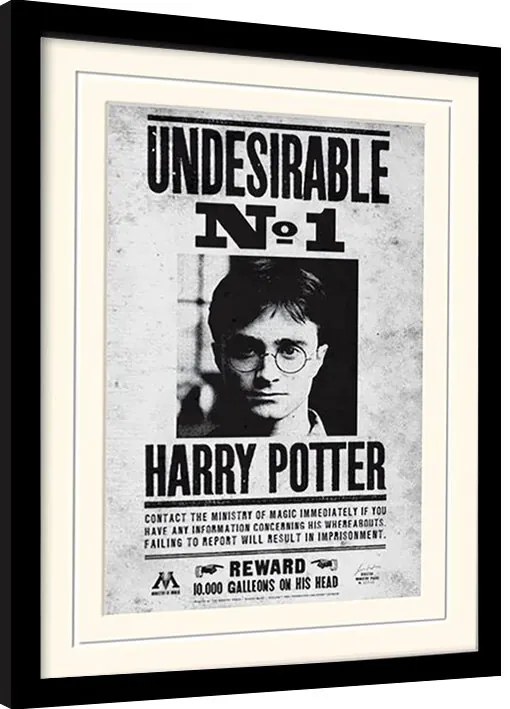 Ingelijste poster Harry Potter - Undersirable No1