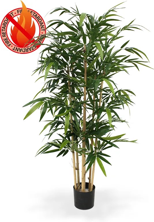 Bamboe 150 cm FR
