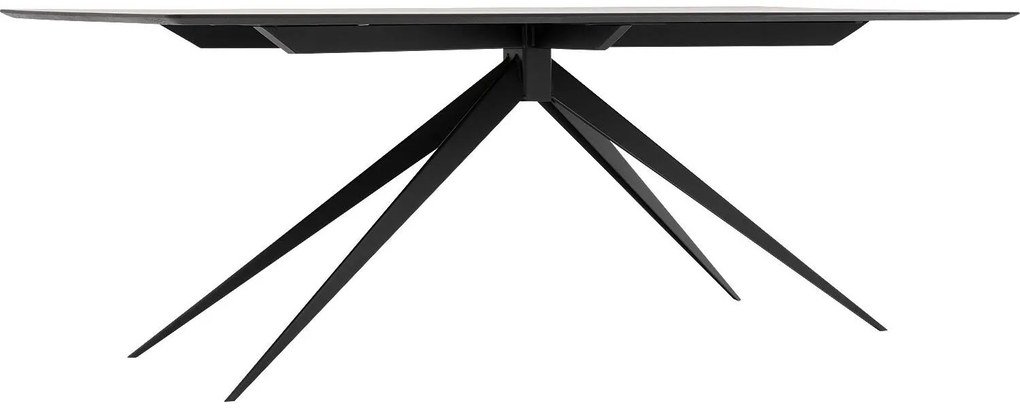 Goossens Excellent Eettafel Uniek, Rechthoekig 220 x 100 cm