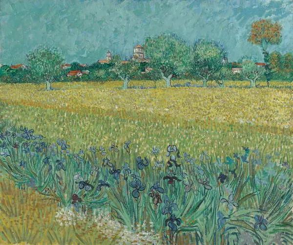 Vincent van Gogh - Kunstdruk Field with Flowers near Arles, 1888, (40 x 35 cm)