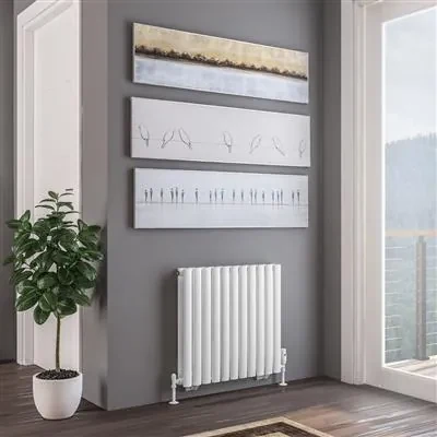 Dubbele Radiator Eastbrook Tunstall dubbele radiator 65x60cm 1010W wit mat | BIANO