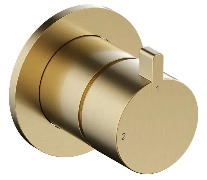 Hotbath ACE 2-weg omstelknop messing geborsteld PVD