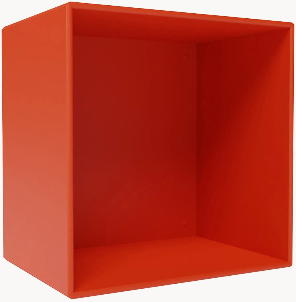 Module Mini 1001