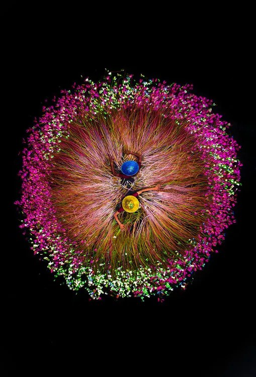Foto Harvesting water lilies, Tanvir