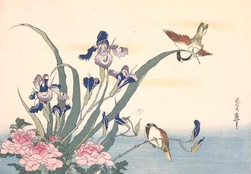 Irises and peonies with finches