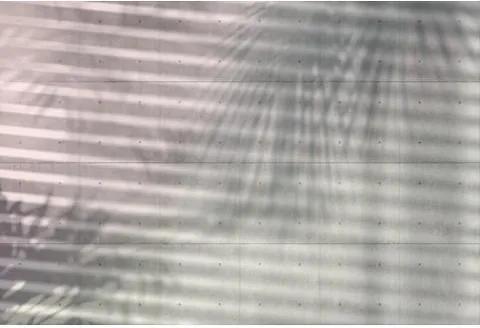 KOMAR vlies-fotobehang »Shadows«, 368x248 cm, KOMAR
