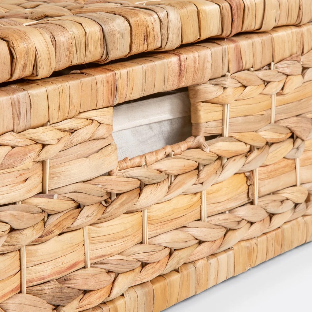 Mand voor onder bed, Lomopi