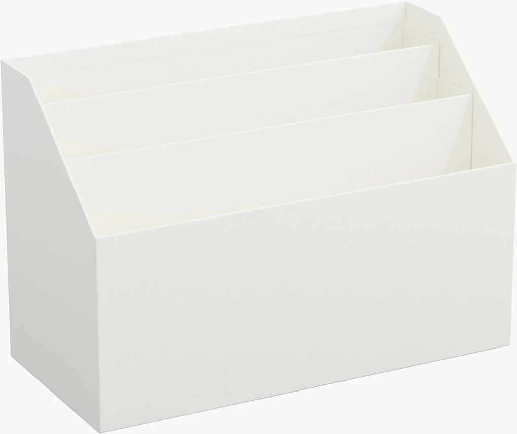 Bureau organizer Hector