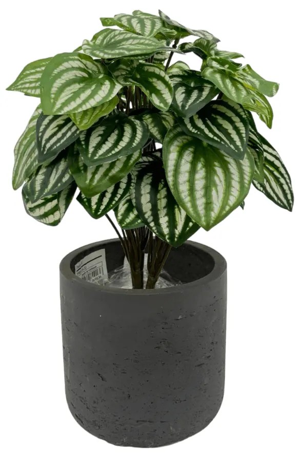 Peperomia Kunstplant - 25 cm