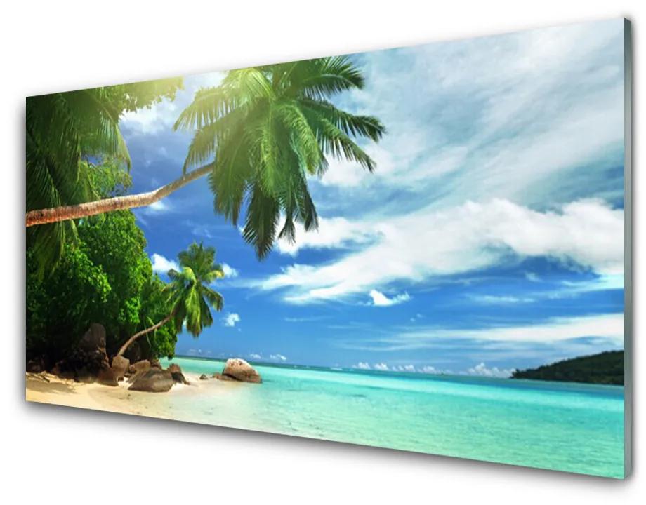 Glas foto Palm beach overzees landschap 100x50 cm