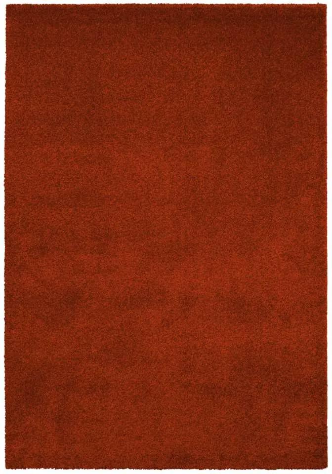 Vloerkleed Hayes - rood - 120x170 cm - Leen Bakker
