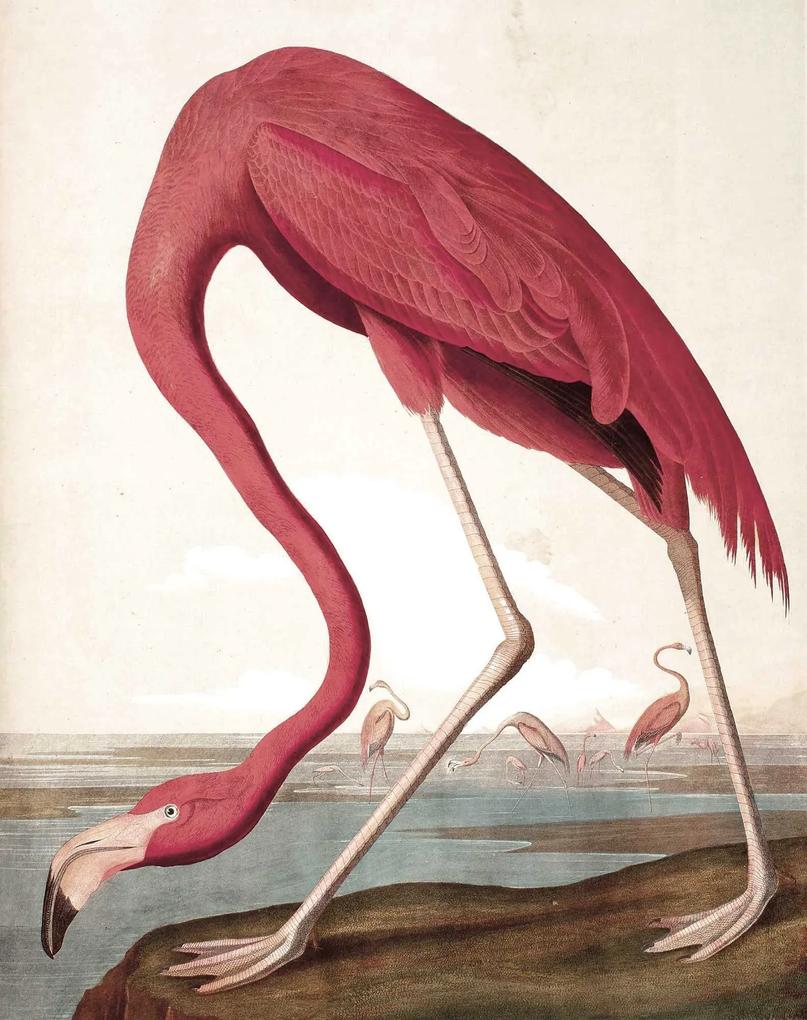 KEK Amsterdam Flamingo behangpaneel