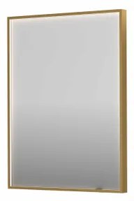 INK SP19 spiegel - 60x4x80cm rechthoek in stalen kader incl dir LED - verwarming - color changing - dimbaar en schakelaar - geborsteld mat goud 8409027