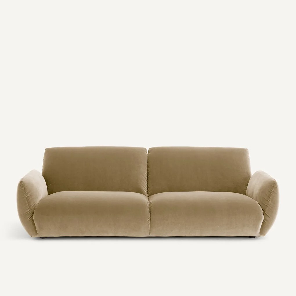 Bank van fluweel, Spogano