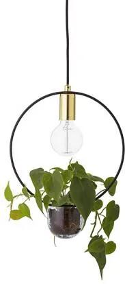 Plant Hanglamp