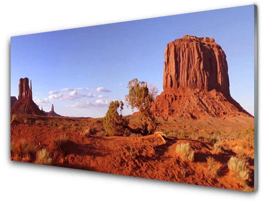 Glazen schilderij Landschap van de woestijn van het zand 100x50 cm