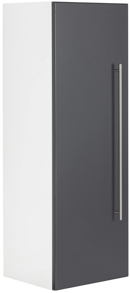 Saniclear Viva kolomkast 100x35x30cm antraciet