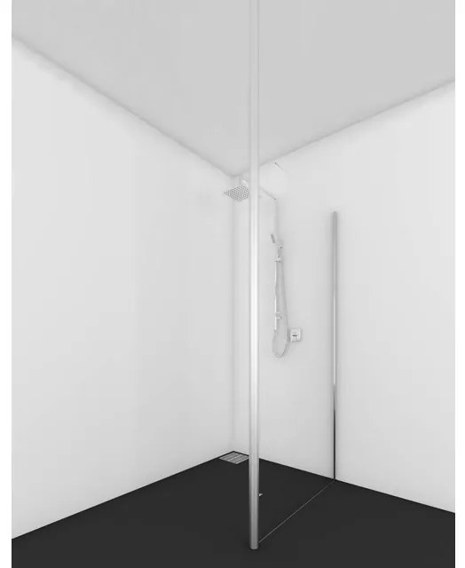 Van Rijn Products ST01 Vaste wand breedte incl. RVS paal 50 Ø 66 cm B. 200 cm H. 8 mm helder clearglas. RVS U-profiel ST0160INL