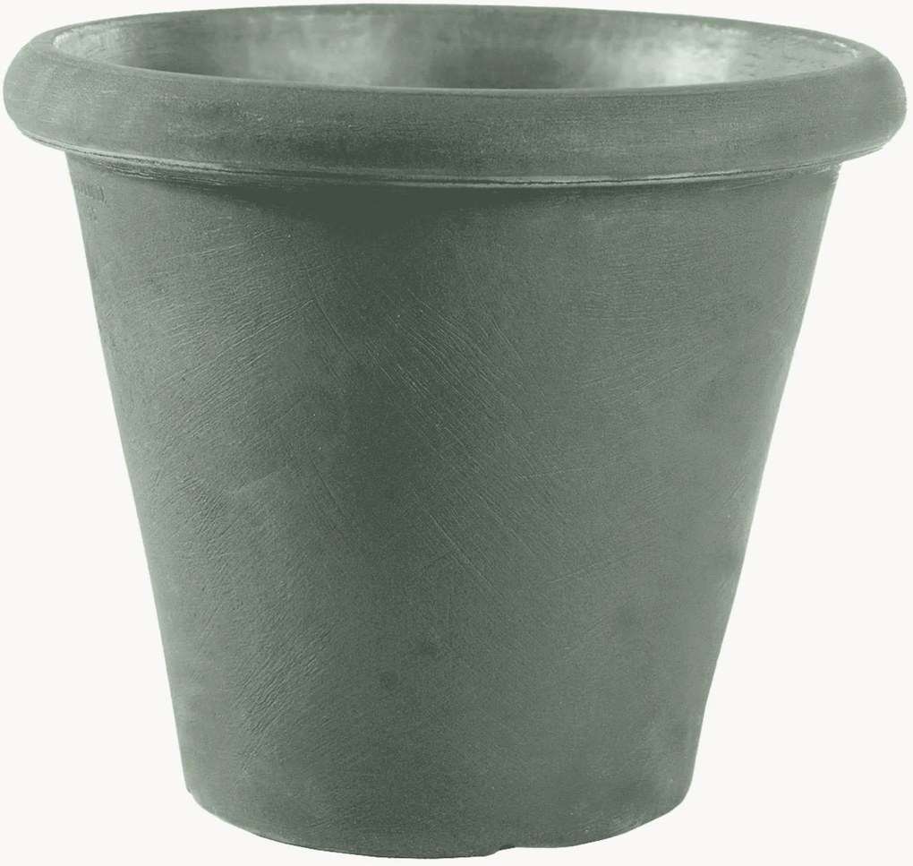 Plantenpot Camelia
