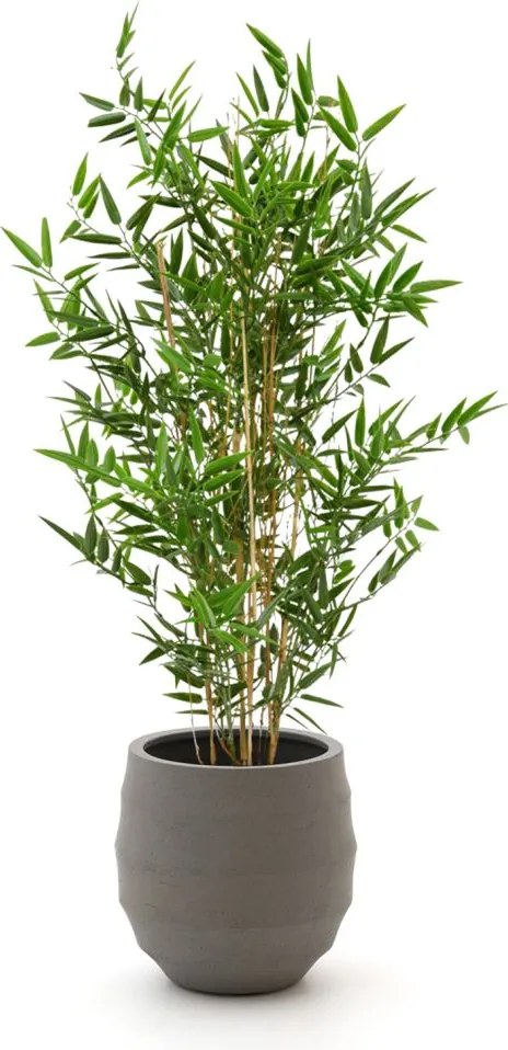 Kunstplant Designplants Luca Lifestyle | Groen Kunststof  | Inclusief bloempot | Kees Smit Tuinmeubelen